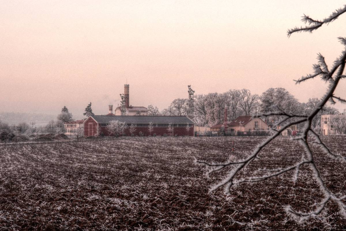 LOCHKOVSKÁ POLE