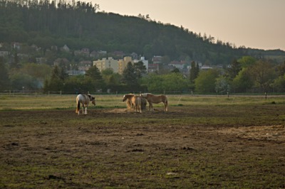 čarodějnice 2019