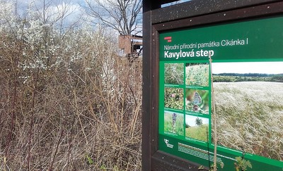 Kavylová step2.jpg